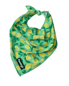 Worth The Squeeze Cooling Bandana