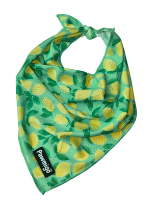 Worth The Squeeze Cooling Bandana