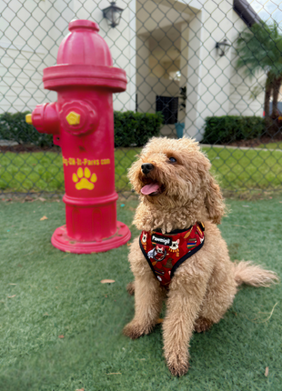 Pawgwarts Everyday Adjustable No-Pull Dog Harness - Pup List