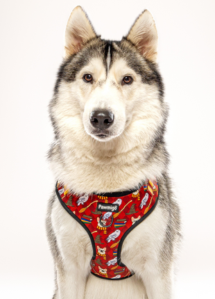 Pawgwarts Everyday Adjustable No-Pull Dog Harness - Pup List