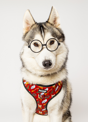 Pawgwarts Everyday Adjustable No-Pull Dog Harness - Pup List