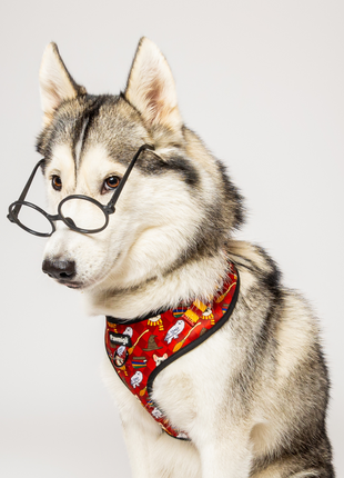 Pawgwarts Everyday Adjustable No-Pull Dog Harness - Pup List