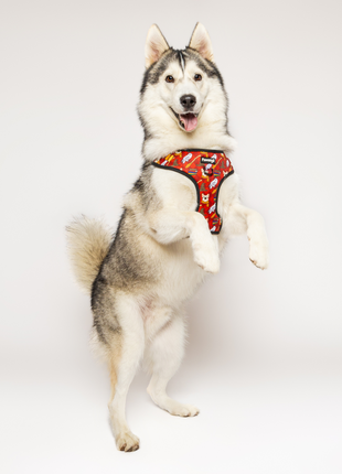 Pawgwarts Everyday Adjustable No-Pull Dog Harness - Pup List