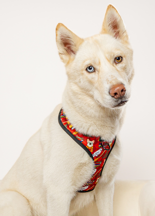 Pawgwarts Everyday Adjustable No-Pull Dog Harness - Pup List