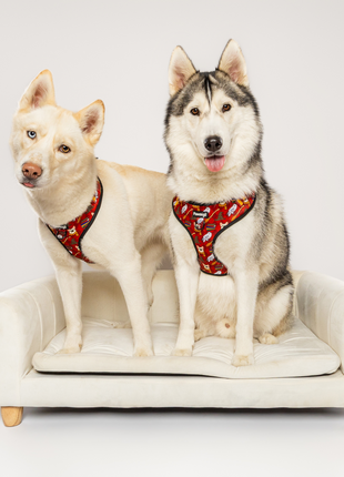 Pawgwarts Everyday Adjustable No-Pull Dog Harness - Pup List