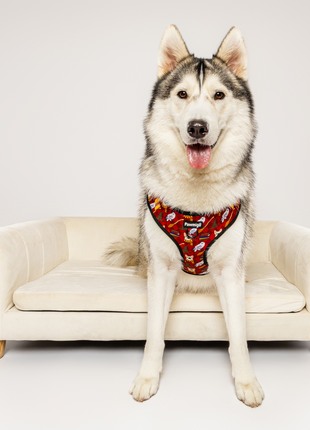 Pawgwarts Everyday Adjustable No-Pull Dog Harness - Pup List