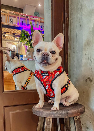 Pawgwarts Reversible Harness - Pup List