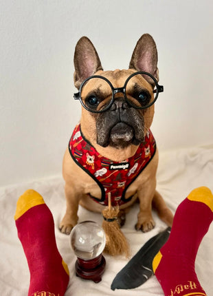 Pawgwarts Reversible Harness - Pup List