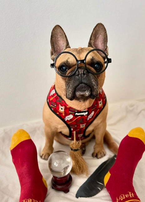 Pawgwarts Reversible Harness - Pup List