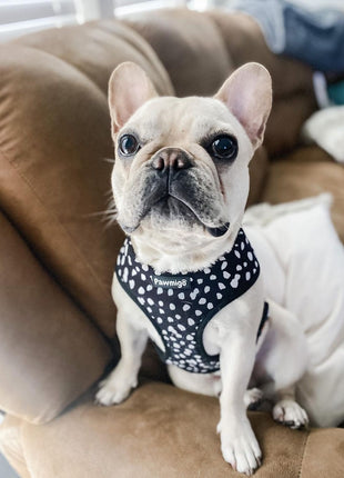 Polka Dog Reversible Harness - Pup List
