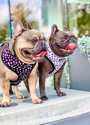 Polka Dog Reversible Harness - Pup List