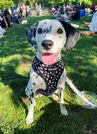 Polka Dog Reversible Harness - Pup List