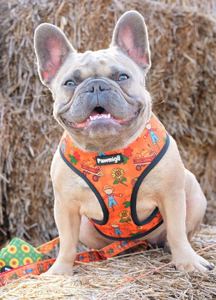 Pupkin Patch Reversible Harness