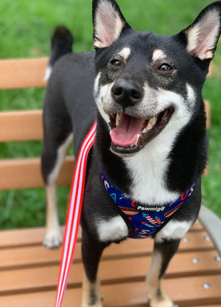 Red, White & Bark Reversible Harness - Pup List