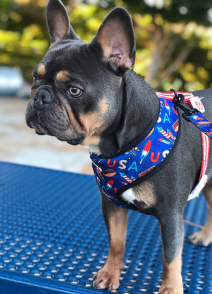 Red, White & Bark Reversible Harness - Pup List