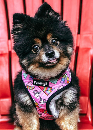 Slumber Pawty Reversible Harness - Pup List