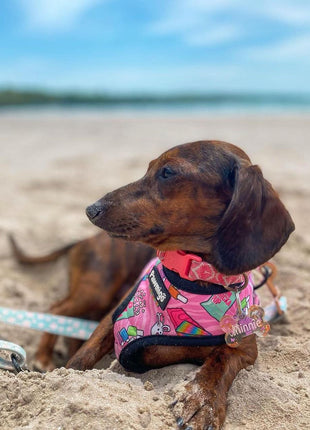 Slumber Pawty Reversible Harness - Pup List