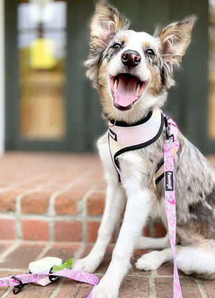 Slumber Pawty Reversible Harness - Pup List