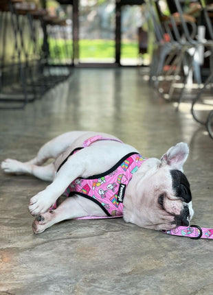 Slumber Pawty Reversible Harness - Pup List