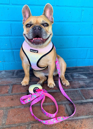 Slumber Pawty Reversible Harness - Pup List