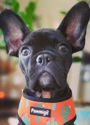 Succa For You Reversible Harness - Pup List