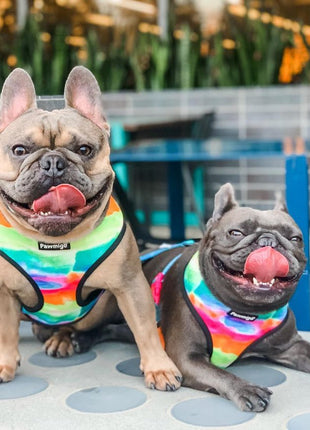 Tie-Dye For Reversible Harness - Pup List