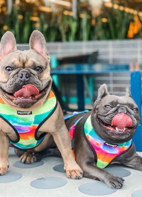 Tie-Dye For Reversible Harness - Pup List