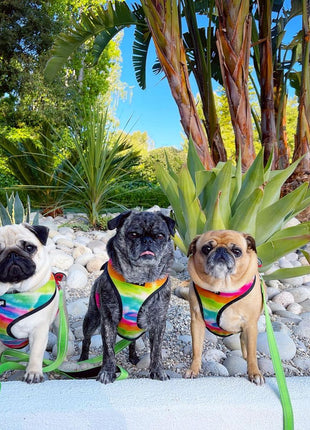 Tie-Dye For Reversible Harness - Pup List