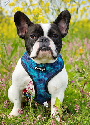 Tie-Dye For Reversible Harness - Pup List