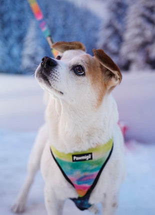 Tie-Dye For Leash Kit - Pup List