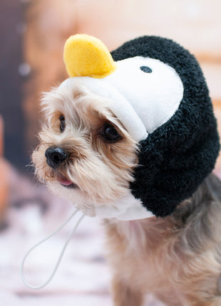 Penguin Hat