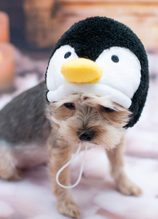Penguin Hat