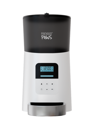 Automatic Cat Feeder