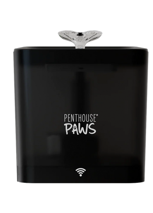 Smart Water Fountain