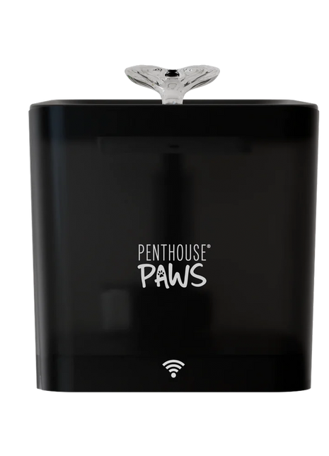 Smart Water Fountain