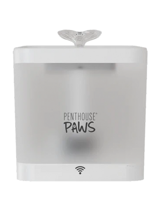 Smart Water Fountain