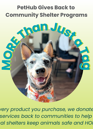 PetHub QR Pet ID Tag – Absent Without a Leash (AWOL)