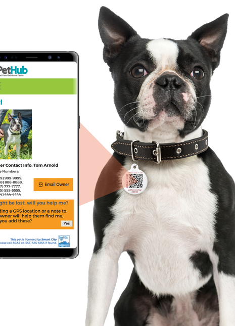 PetHub QR ID Pet Tag - Escape Artist