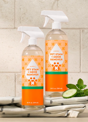 Pet Stain & Odor Remover