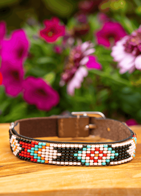 Phoenix Sambboho cat collar