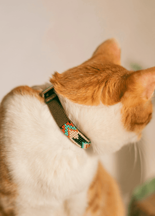 Phoenix Sambboho cat collar