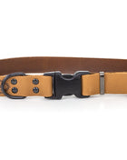 Celtic Sport Khaki Leather Dog Collar