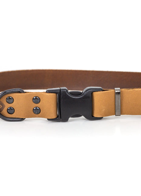 Celtic Sport Khaki Leather Dog Collar