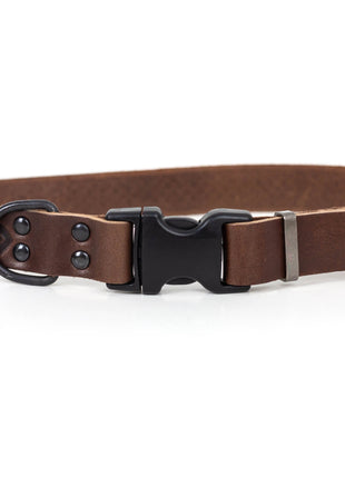 Celtic Sport Chocolate Leather Dog Collar