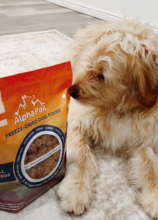 PREMIUM RAW FREEZE DRIED DOG FOOD BEEF