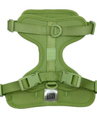 Harness - Pup List