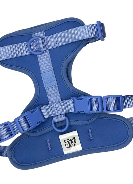Harness - Pup List