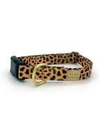 not-so-basic snap collar / leopard