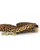 not-so-basic leash / leopard