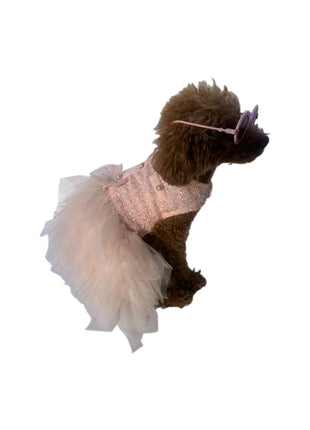 Mademoiselle Coco Tutu, Pink on Pink